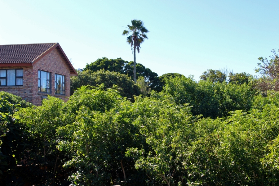 0 Bedroom Property for Sale in Forest Downs Eastern Cape